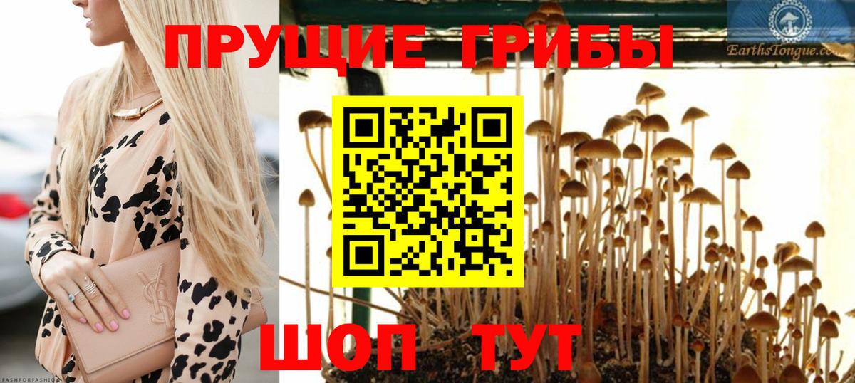 Галлюциногенные грибы Magic Shrooms Егорьевск