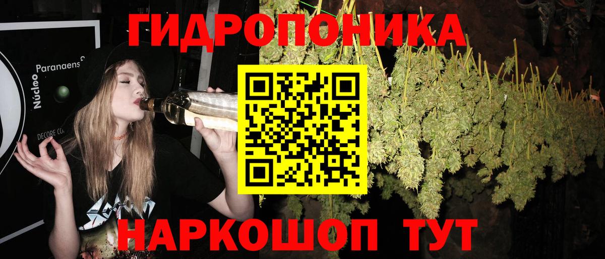 Каннабис план Егорьевск